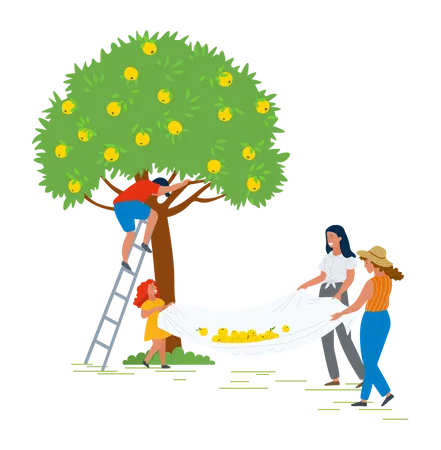 Family collecting fruits from tree Illustration