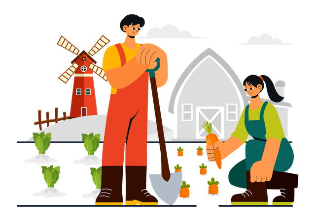 Family grows carrot in farm  Illustration