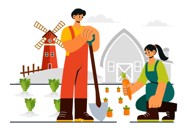 Family grows carrot in farm  Illustration