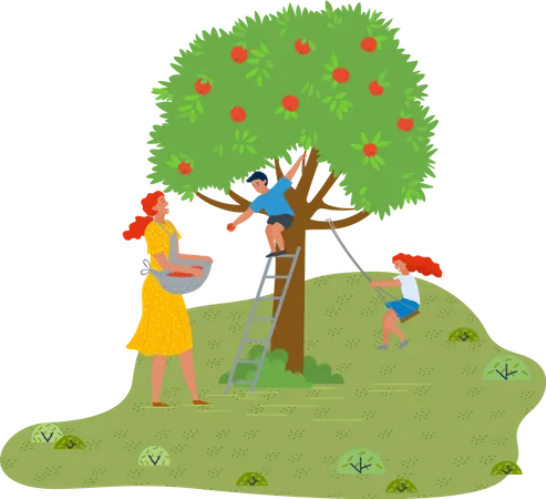Mother Son And Daughter Have Fun In The Garden Son Sits On An Apple Tree And Throws Apples Mother Collects Apples In An Apron Daughter Swings On A Homemade Carousel Fresh Air Outdoor Activity イラスト