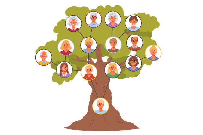 Family tree of generations  イラスト