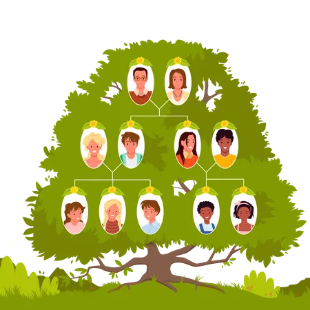 Family tree structure  Illustration