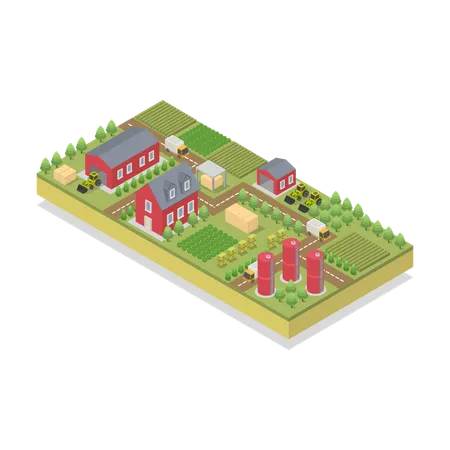 Farm  Illustration