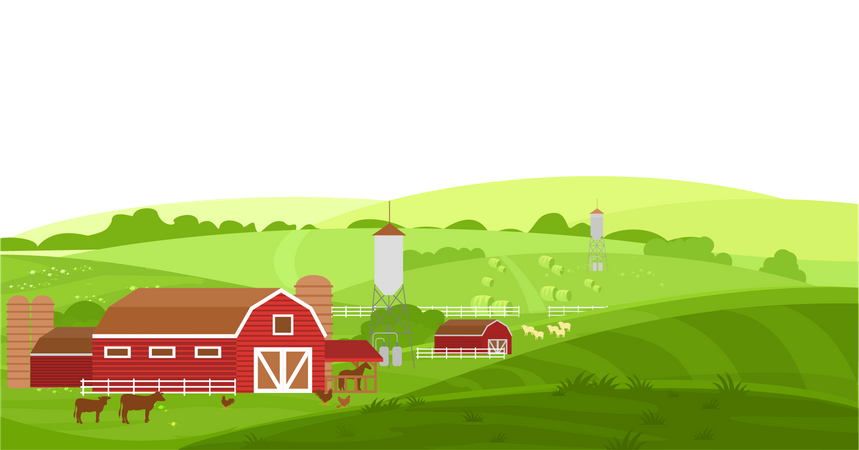 Farm  Illustration