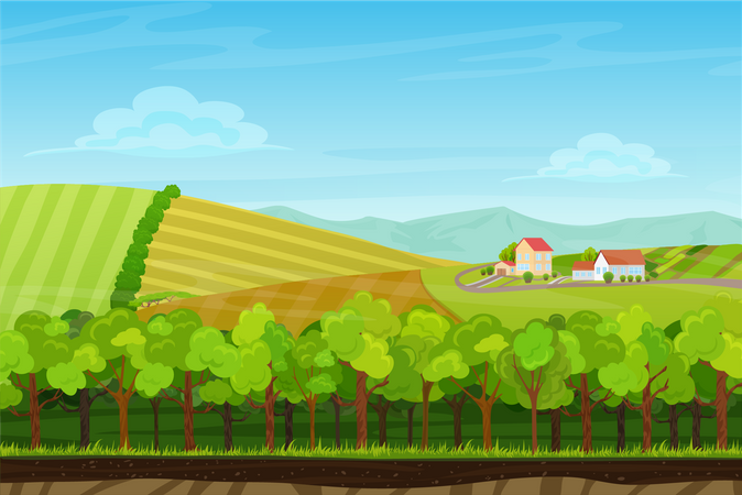 Farm lands Illustration