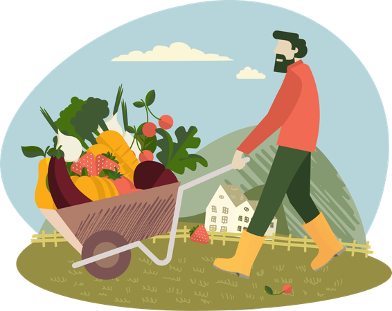 Farmer carrying vegetable garden barrow  Illustration