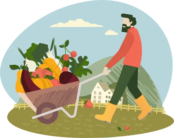 Farmer carrying vegetable garden barrow  Illustration