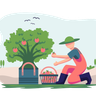 farmer collecting apples illustrations free