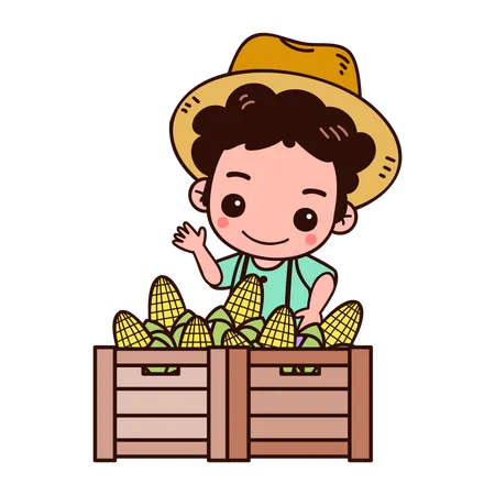 Farmer Collecting corn harvest Illustration