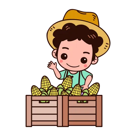 Farmer Collecting corn harvest  Illustration