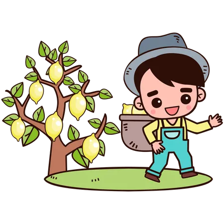 Farmer collecting lemon Illustration