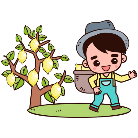 Farmer collecting lemon  Illustration