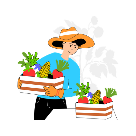 Farmer collecting vegetables from field  Illustration