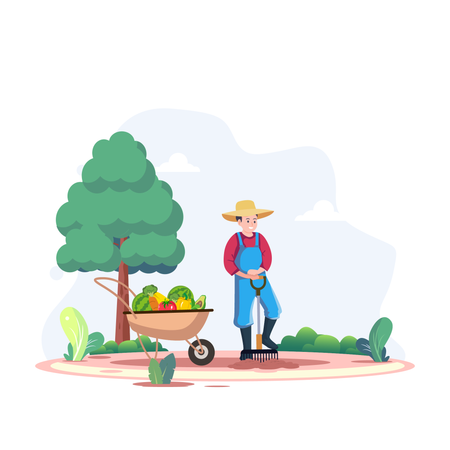 Farmer collecting vegetables in cart  Illustration