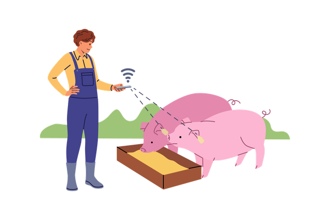 Farmer controls smart livestock farm via phone standing near pigs with WiFi chips in ears  イラスト