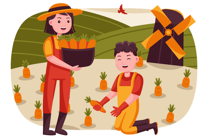 Farmer couple collecting carrots from farm  Illustration