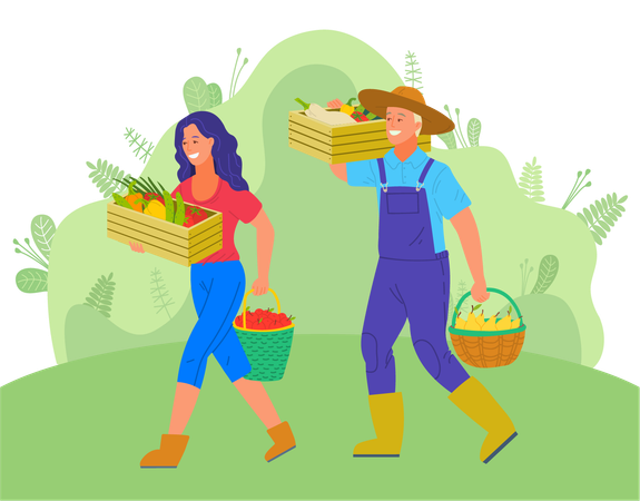Farmer couple harvesting fresh vegetables  Illustration
