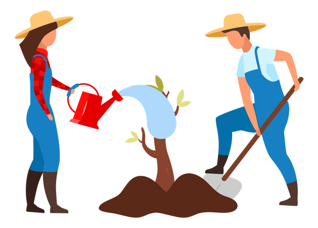 Farmer couple planting small tree  Illustration