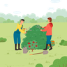 illustration for crop rotation