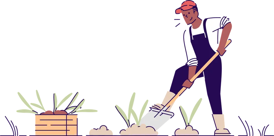 Farmer Digging Up Crop Flat Vector Character African American Man Gardening Cartoon Illustration With Outline Harvest Collecting Concept Gardener Working With Shovel Isolated On White Background Illustration