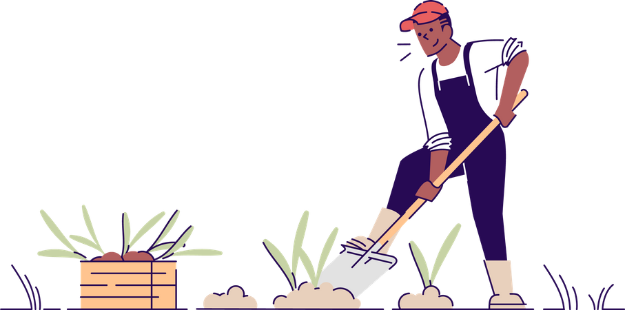 Farmer digging up crop  Illustration