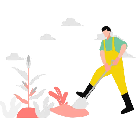 The Farmer Is Digging With A Shovel Illustration