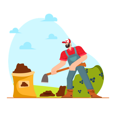 Farmer doing root Crops Harvesting  Illustration