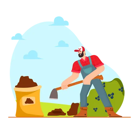 Farmer doing root Crops Harvesting  Illustration