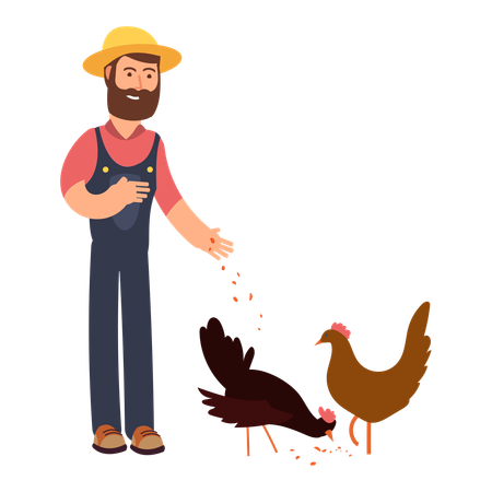 Farmer feeding chicken  Illustration