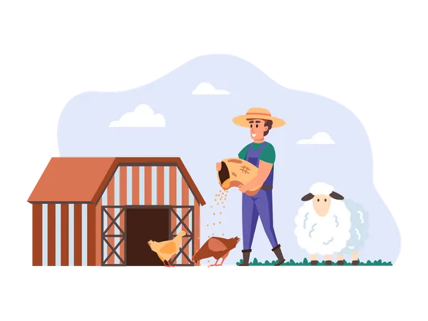 Farmer feeding chickens  Illustration