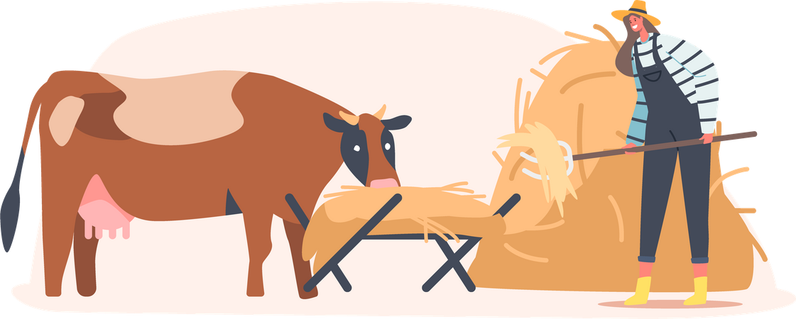 Farmer feeding cow Illustration