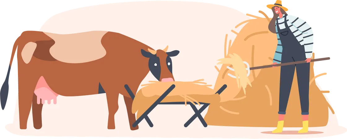 Farmer feeding cow  Illustration