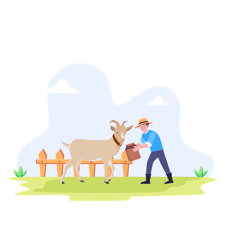 Farmer Feeding Farm Animals  Illustration