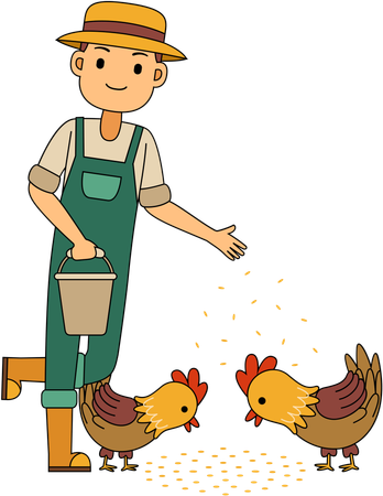 Farmer feeding farm chicken  Illustration