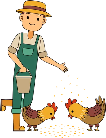 Farmer feeding farm chicken  Illustration