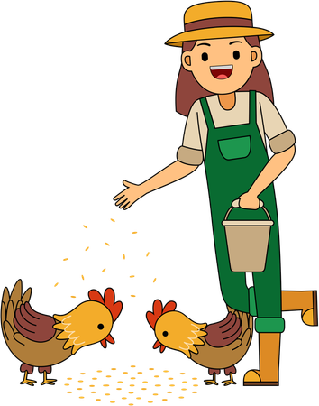 Farmer feeding farm chicken  Illustration