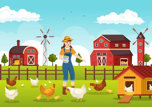 Farmer feeding food to poultry animals Illustration
