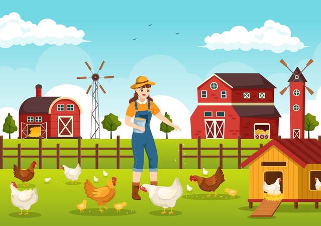 Farmer feeding food to poultry animals  Illustration