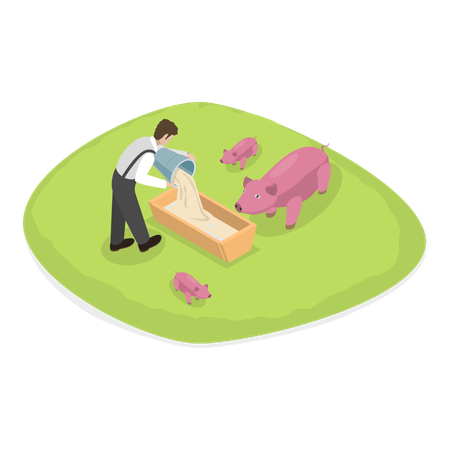 Farmer feeding his pigs in farm  Illustration