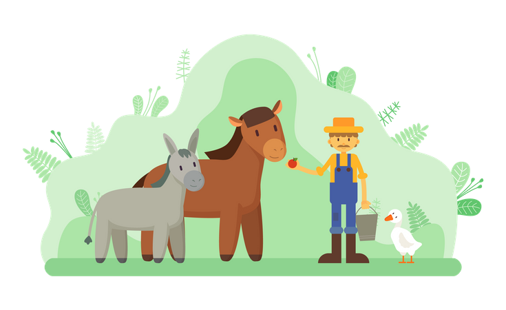 Farmer feeling horse  Illustration