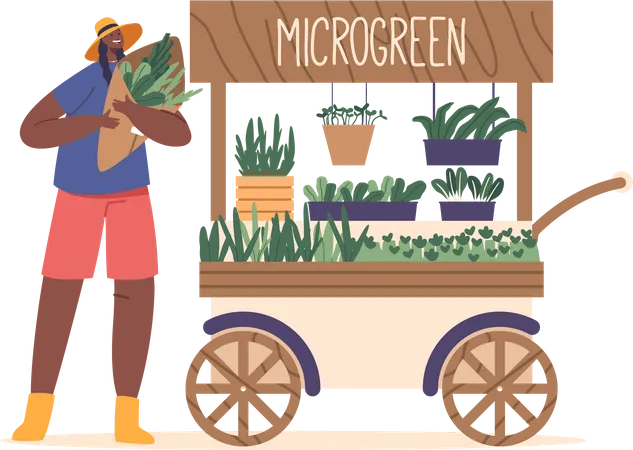 Farmer Female Character Sells Fresh Locally Grown Greens At Market Stall Colorful Array Of Vegetables And Leafy Greens Provide A Healthy Option For Customers Cartoon People Vector Illustration Illustration