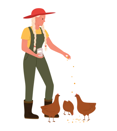 Farmer Girl feeding food to hen  Illustration