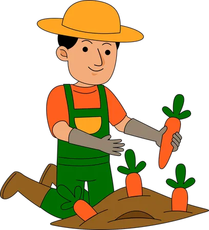 Farmer growing carrot in field  Illustration