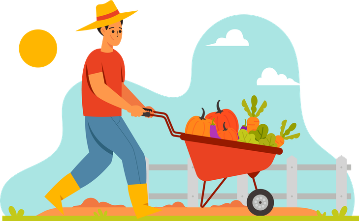 Farmer Harvest Vegetables  Illustration