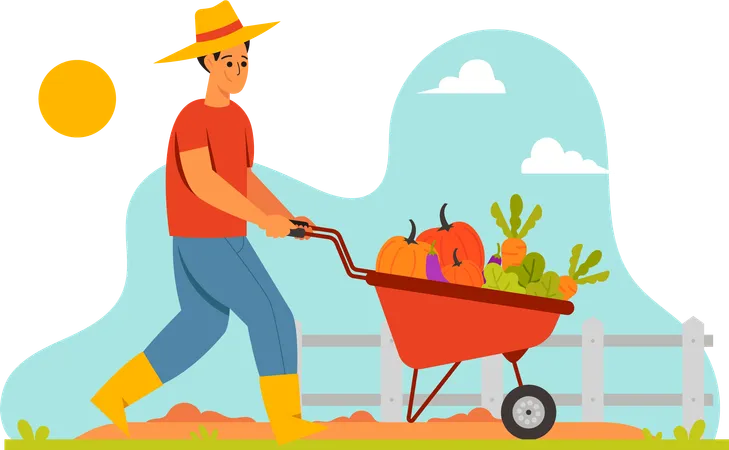 Feel The Rhythm Of Everyday Farm Life With Illustrations Of Farmer Harvesting Vegetables Designed For Farming Enthusiasts This Work Of Art Beautifully Captures The Essence Of A Farmers Daily Activities Perfect For Presentations Social Media Or Promotional Materials These Illustrations Add Authenticity To Your Narrative Illustration