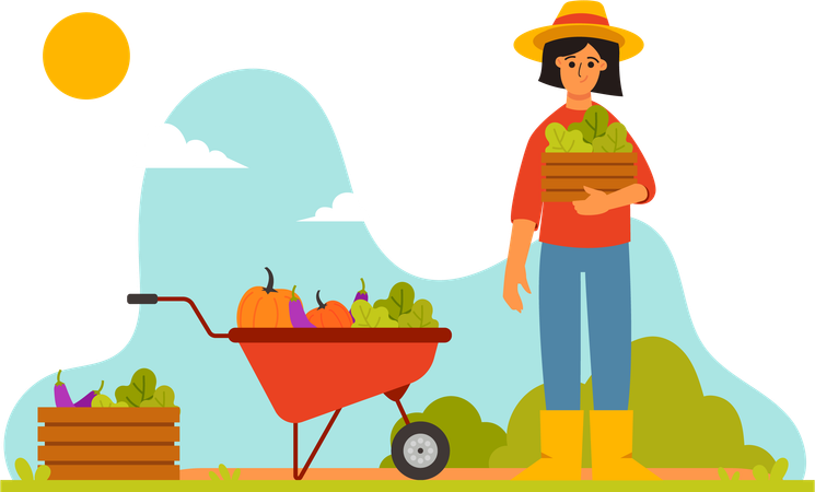 Farmer Harvest Vegetables  Illustration