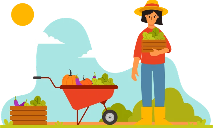 Farmer Harvest Vegetables  Illustration