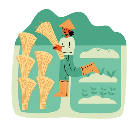 Farmer harvesting Illustration