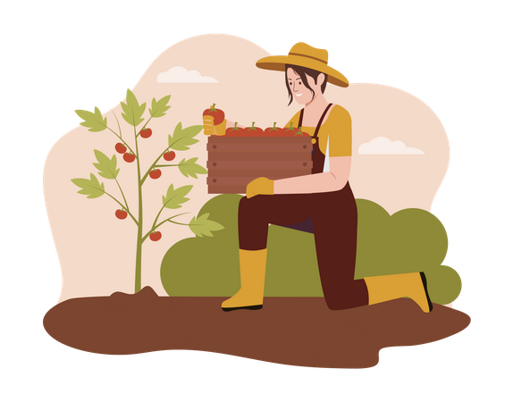 Farmer harvesting apple from the farm Illustration
