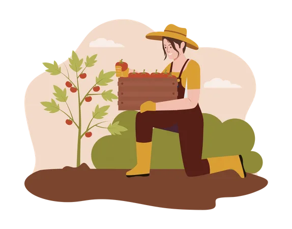 Farmer harvesting apple from the farm  Illustration